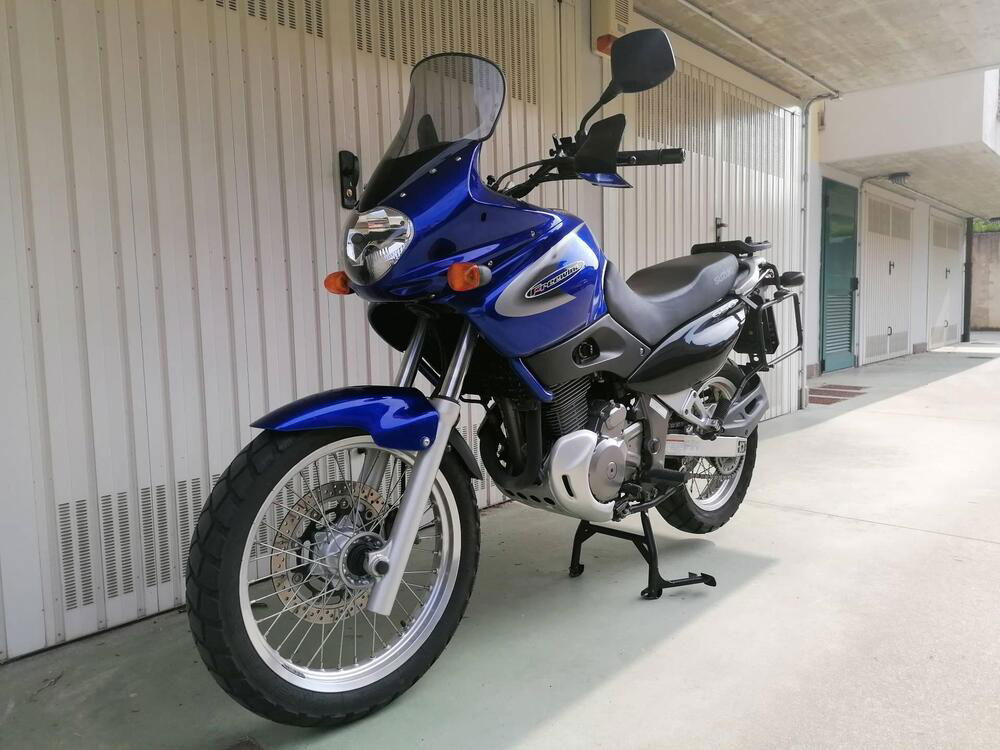 Suzuki XF 650 Freewind (1997 - 03) (2)