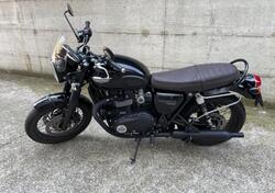 Triumph Bonneville T120 (2016 - 20) usata