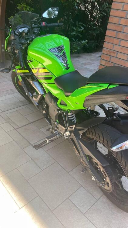 Kawasaki Ninja 125 (2019 - 20) (3)