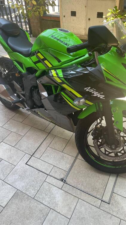 Kawasaki Ninja 125 (2019 - 20) (5)