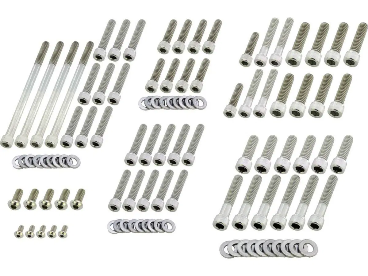 Kit completo viti motore inox per Vrod dal 2002 al 