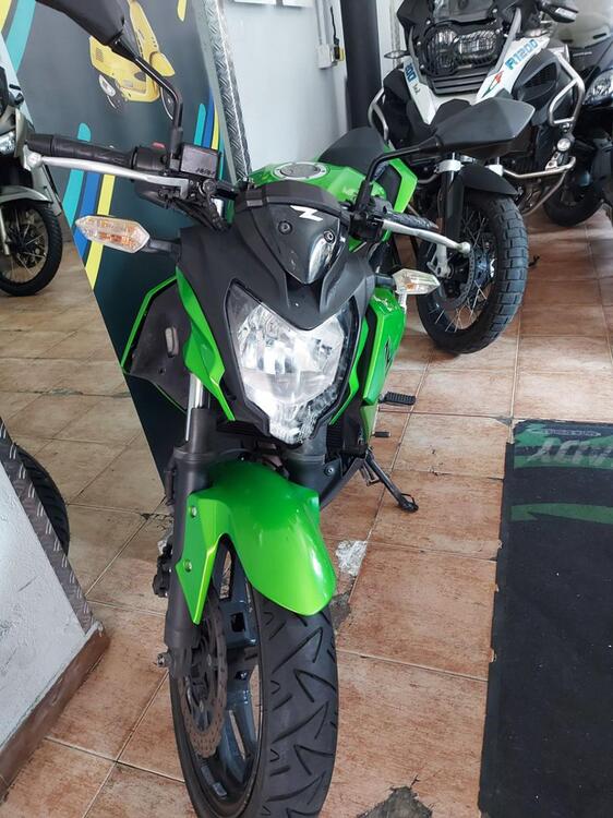 Kawasaki Z 250 SL (2015 - 16) (2)