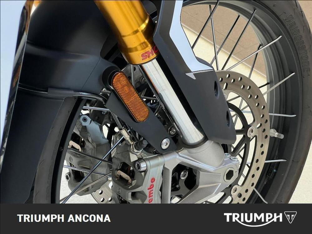 Triumph Tiger 900 Rally Pro (2020 - 23) (3)