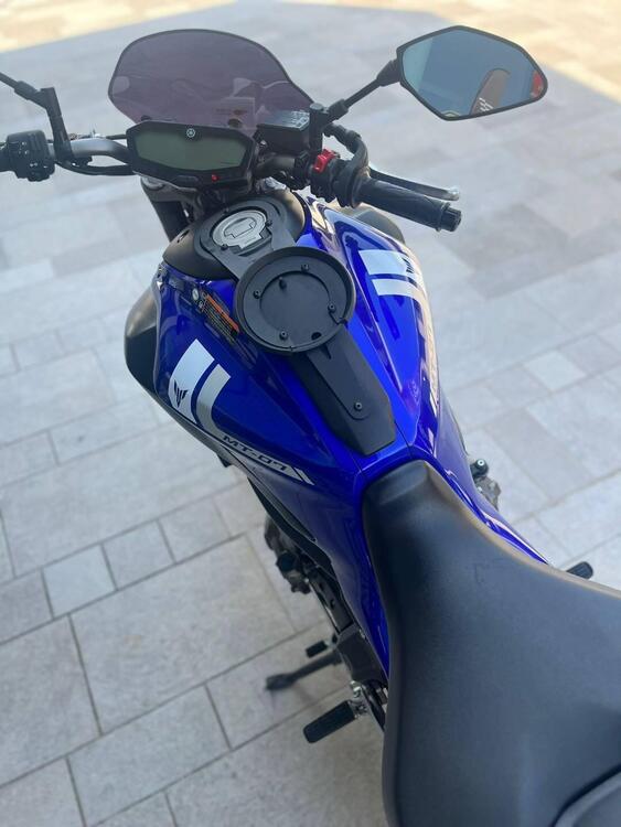 Yamaha MT-07 Moto Cage (2015 - 17) (3)