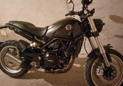 Benelli Leoncino 500 Trail (2021 - 24) usata