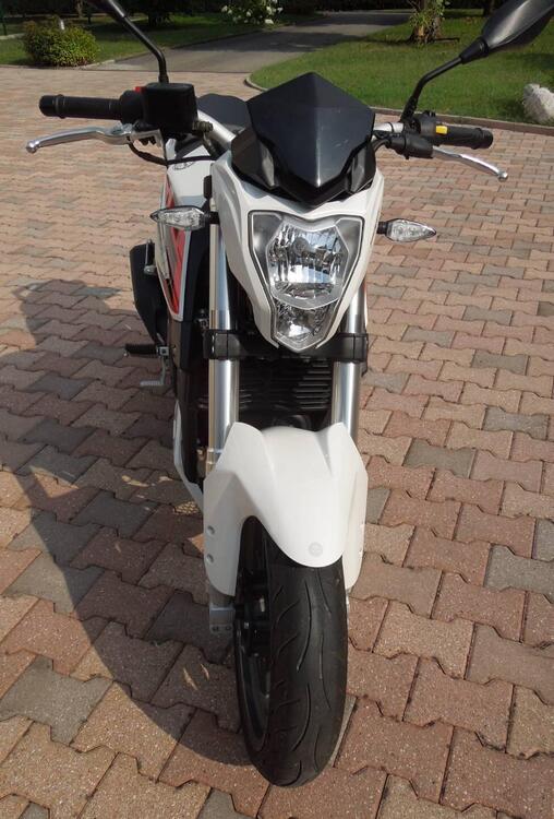 Benelli BN 251 (2015 - 16) (3)