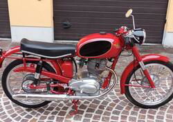 Moto Morini  MOTO MORINI 175 SETTEBELLO 1954 d'epoca