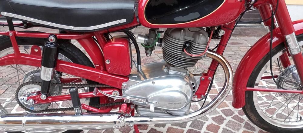 Moto Morini  MOTO MORINI 175 SETTEBELLO 1954 (3)