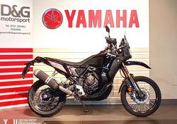 Yamaha Ténéré 700 World Raid (2022 - 24) usata