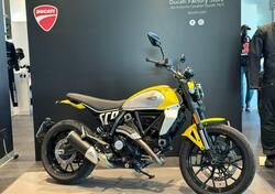 Ducati Scrambler 800 Icon (2023 - 24) usata