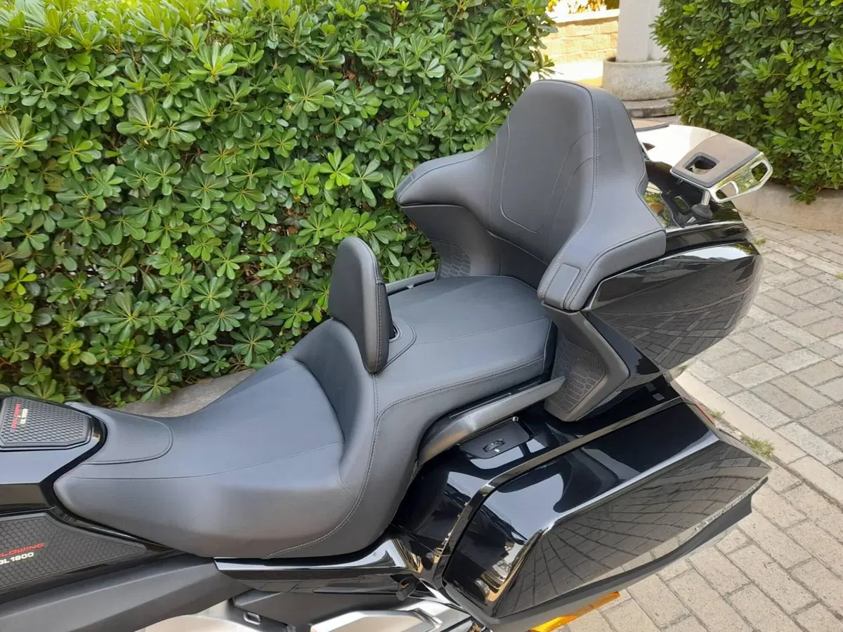 Honda GL 1800 Gold Wing Tour (2020) (7)