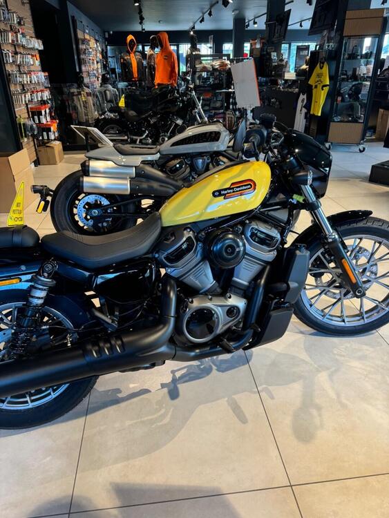 Harley-Davidson Nightster Special (2023 - 24) (2)