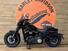 Harley-Davidson 114 Fat Bob (2018 - 20) - FXFBS (12)