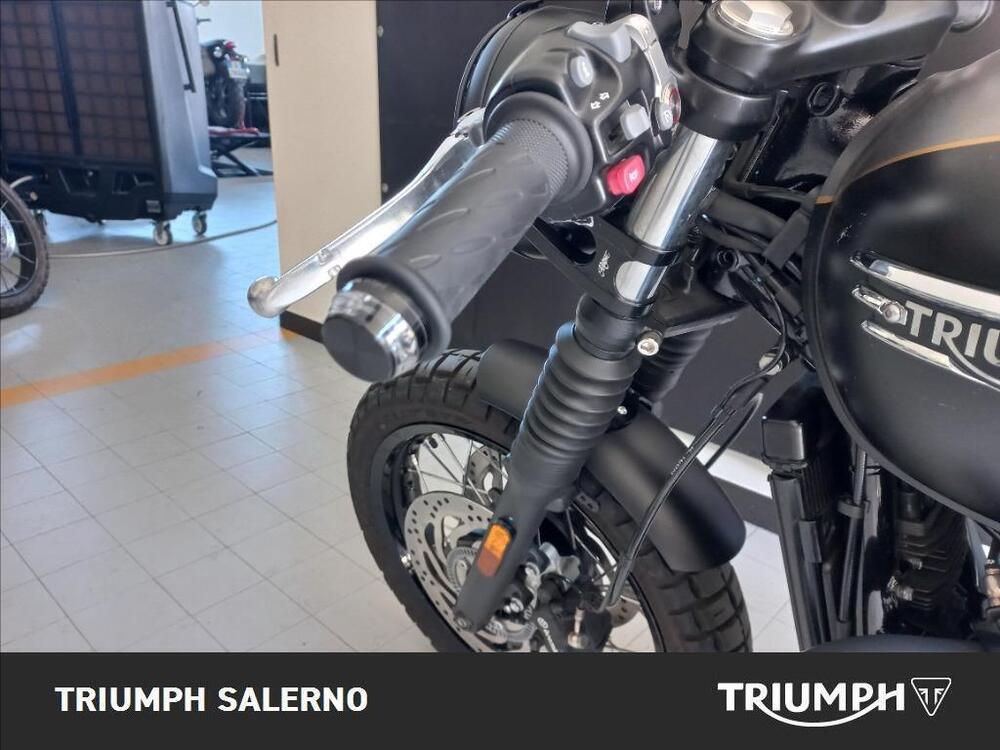 Triumph Bonneville T120 Gold Line Edition (2022 - 23) (4)