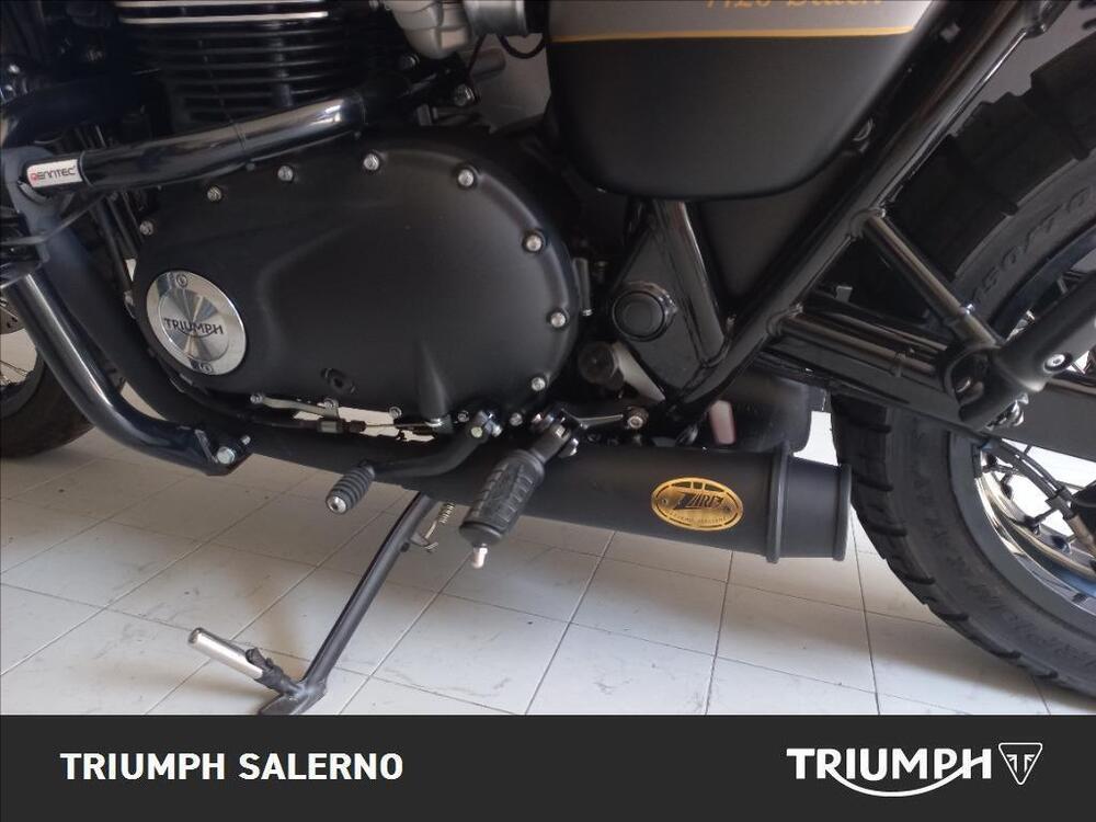 Triumph Bonneville T120 Gold Line Edition (2022 - 23) (5)