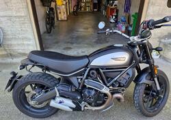 Ducati Scrambler 800 Icon (2021 - 22) usata