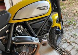 Ducati Scrambler 800 Icon (2021 - 22) usata