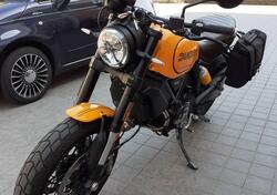 Ducati Scrambler 1100 Tribute Pro (2022 - 24) usata