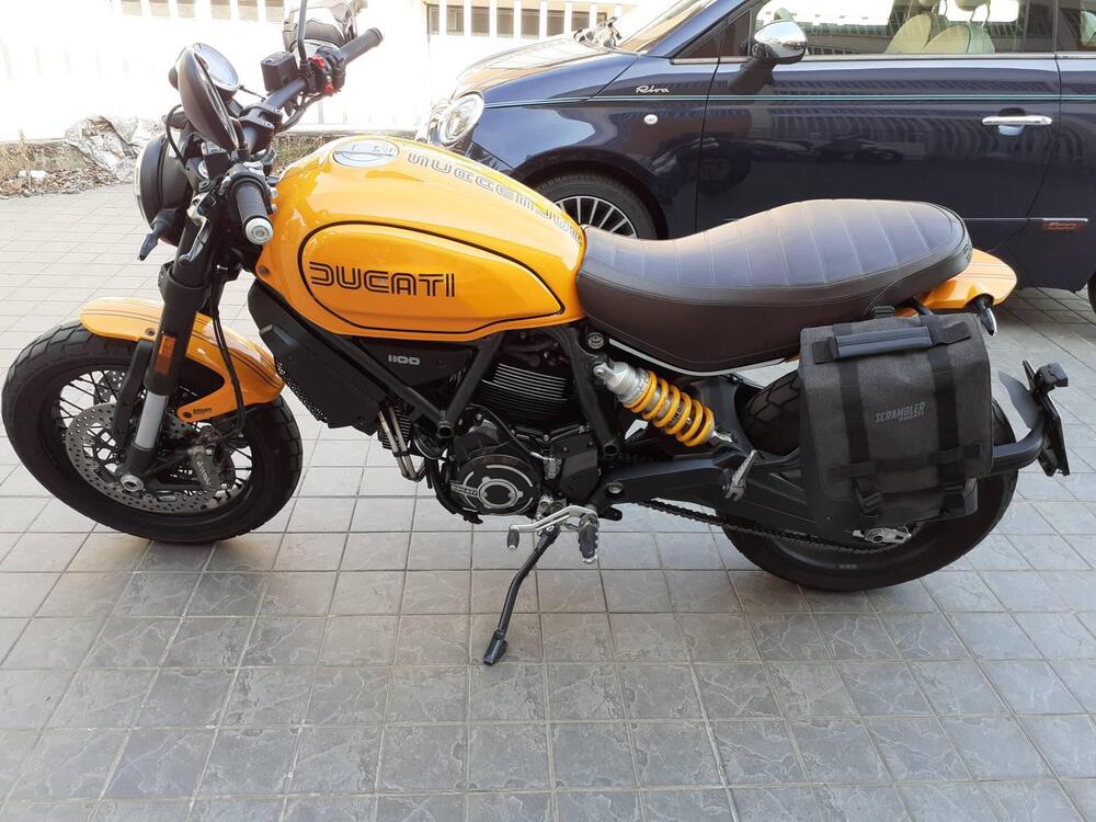 Ducati Scrambler 1100 Tribute Pro (2022 - 24) (2)