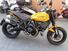 Ducati Scrambler 1100 Tribute Pro (2022 - 24) (6)