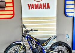 Sherco 300 ST (2015 - 17) usata