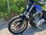 Harley-Davidson 883 Custom (2001 - 05) - XL 53C (15)