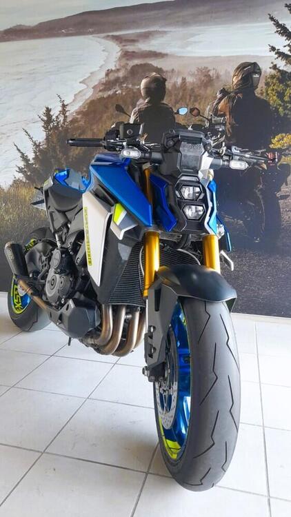 Suzuki GSX-S1000 (2021 - 24) (2)