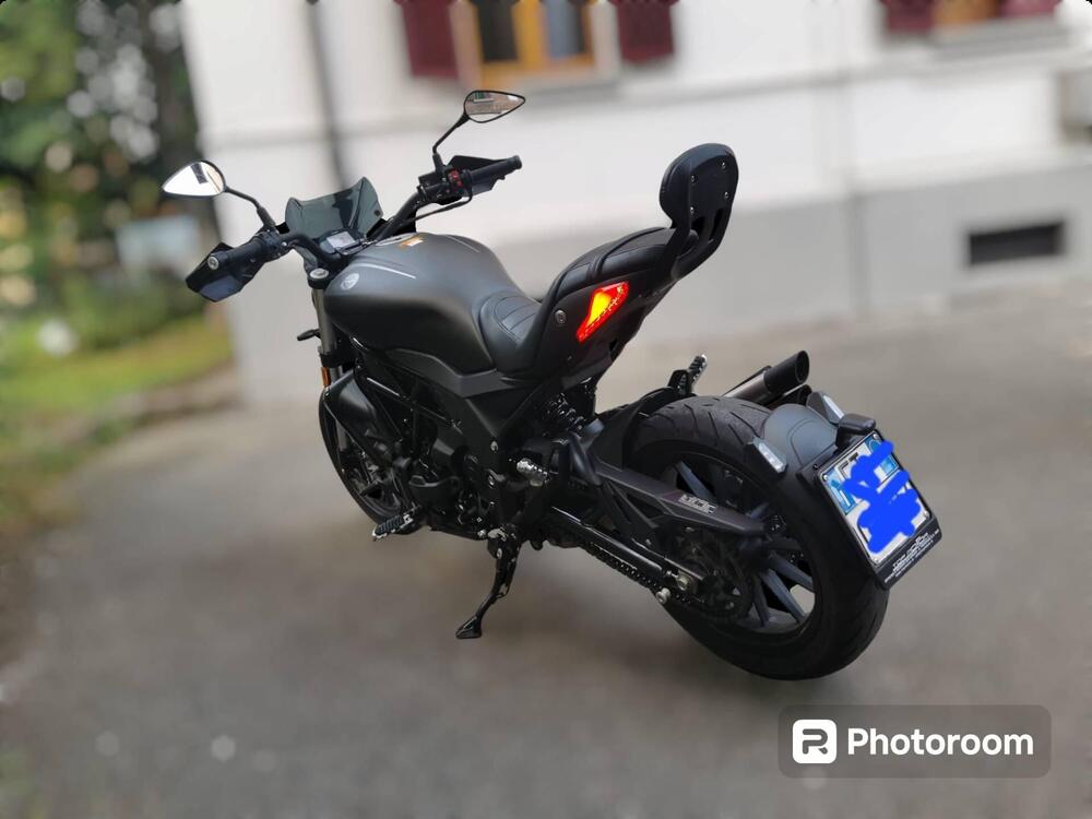 Benelli 502 C (2019 - 20) (2)