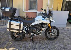 Triumph Tiger 900 Rally Pro (2020 - 23) usata