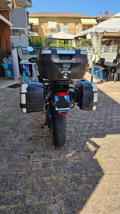 Triumph Tiger 900 Rally Pro (2020 - 23) (4)