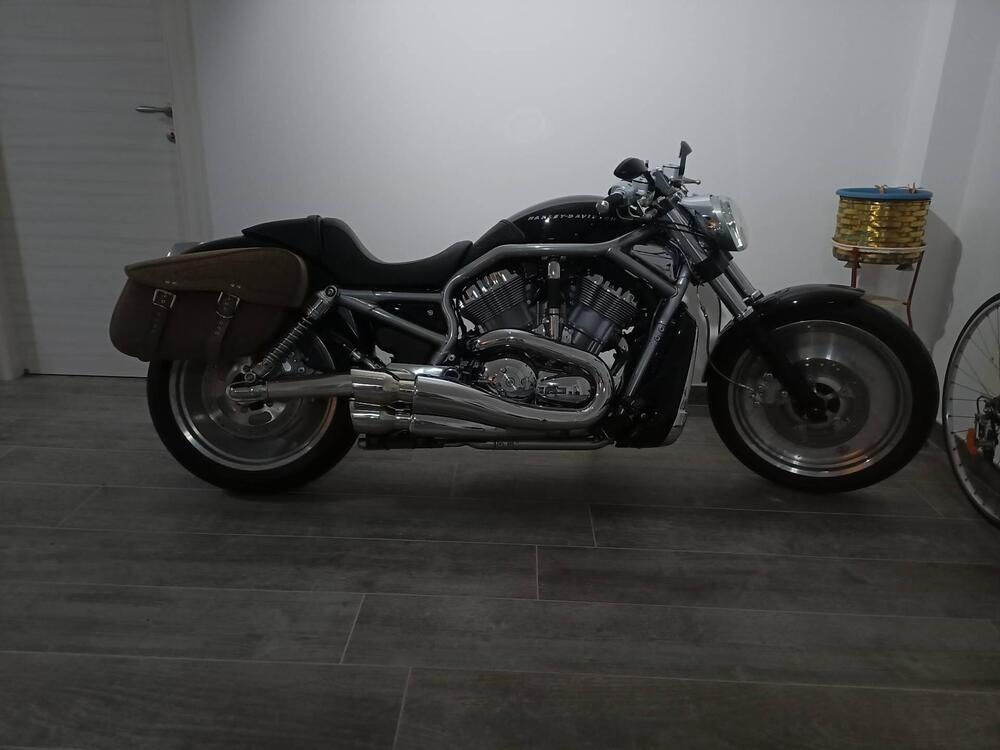 Harley-Davidson 1130 V-Rod (2002 - 05) - VRSCA (2)