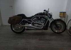 Harley-Davidson 1130 V-Rod (2002 - 05) - VRSCA usata