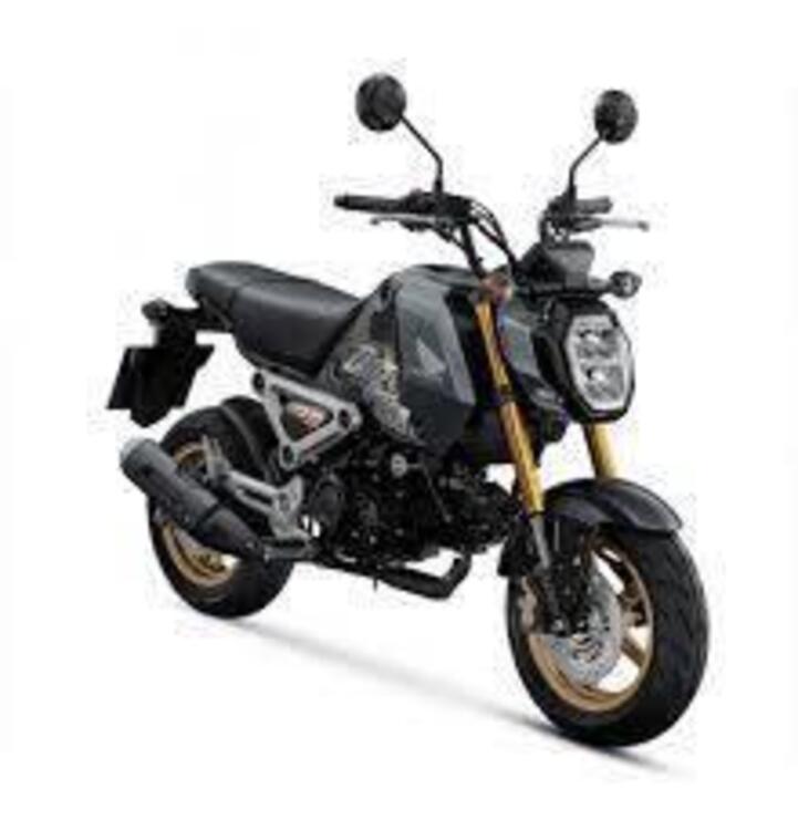 Honda MSX 125 Grom (2021 - 24)