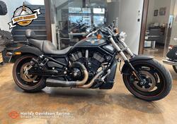 Harley-Davidson 1250 Night Rod Special (2008 - 17) - VRSCDX usata