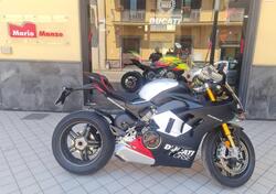 Ducati Panigale V4 1100 SP2 (2022 - 23) usata