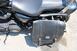 Harley-Davidson 1200 Nightster (2008 - 12) - XL 1200N (17)