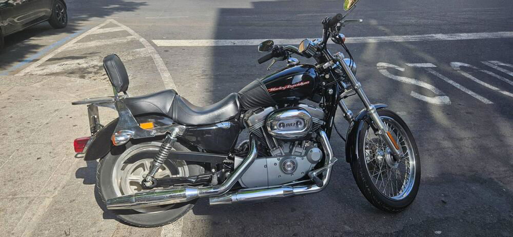 Harley-Davidson 883 Custom (2006 - 07) - XL 883C