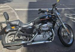 Harley-Davidson 883 Custom (2006 - 07) - XL 883C usata