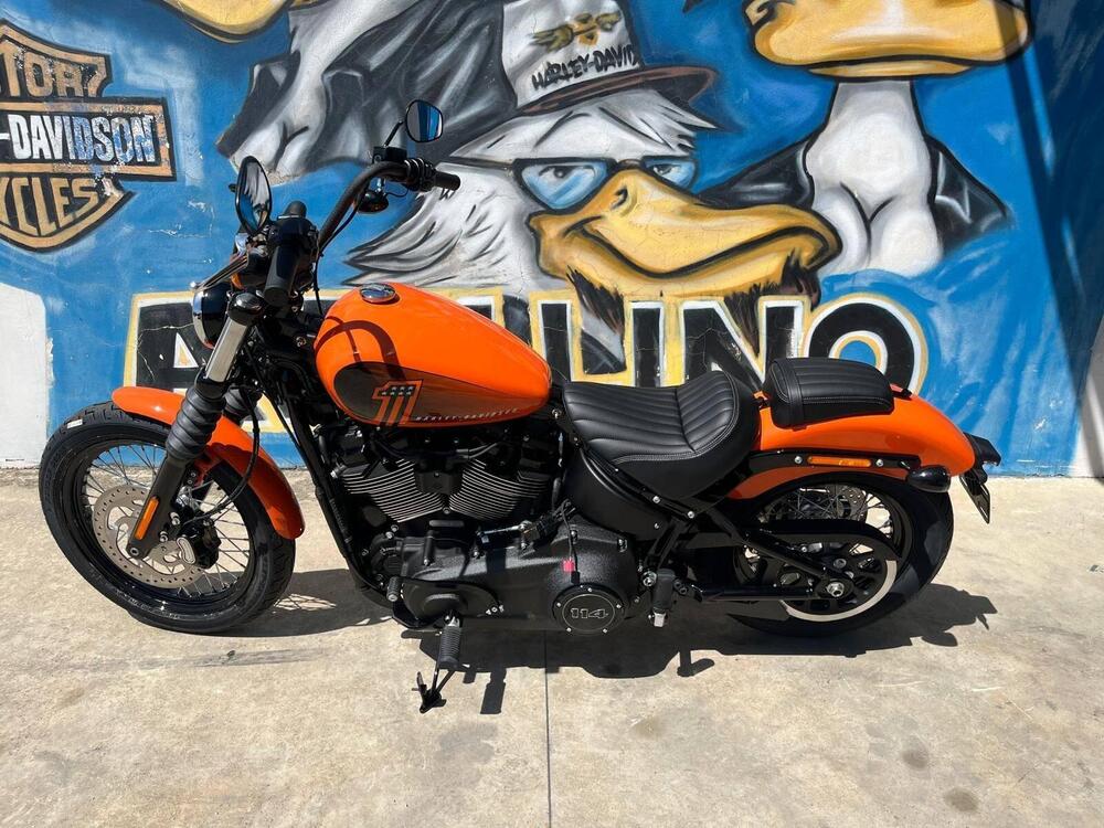 Harley-Davidson Street Bob 114 (2021 - 24)