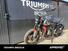 Triumph Trident 660 (2021 - 24) (12)