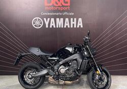 Yamaha XSR 900 (2022 - 24) usata