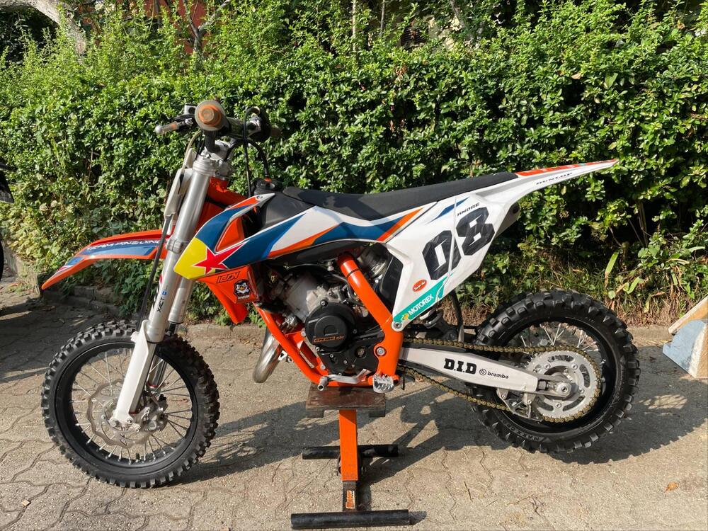 KTM SX 65 (2020) (2)