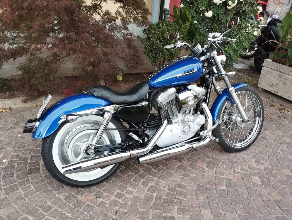 Harley-Davidson 883 Custom (2008 - 12) - XL 883C (3)