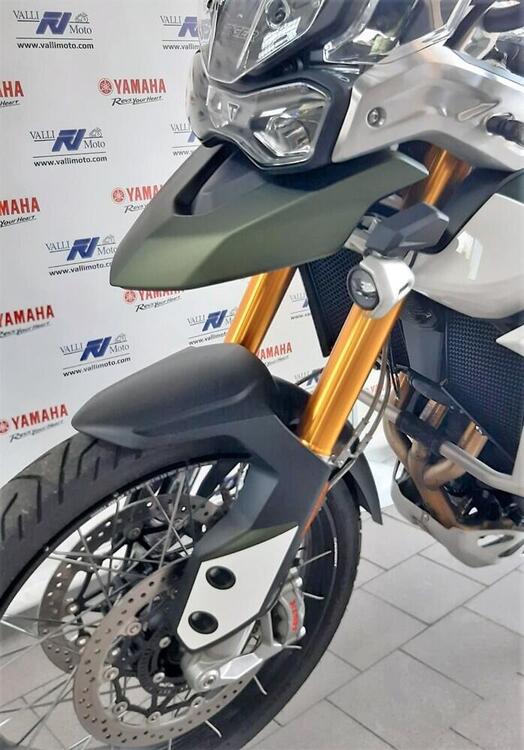 Triumph Tiger 900 Rally Pro (2020 - 23) (3)