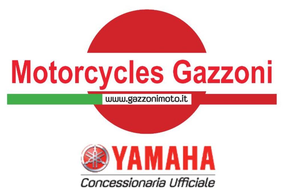 Honda ADV 350 (2022 - 24) (5)