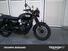 Triumph Bonneville T100 (2017 - 20) (8)