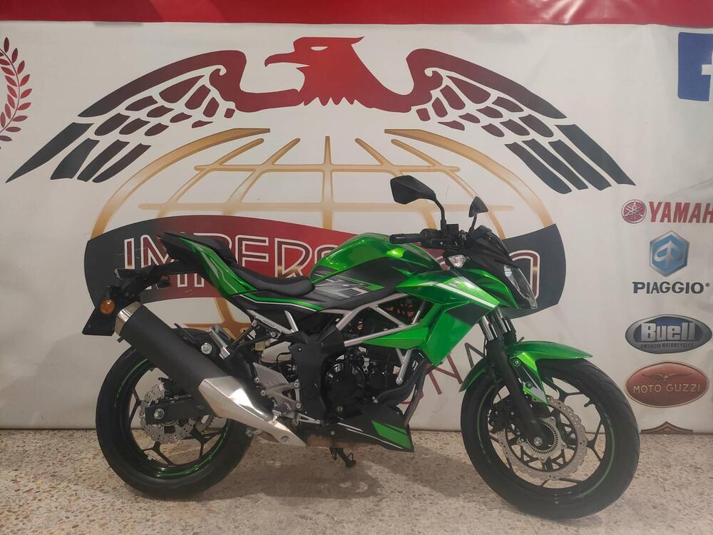 Kawasaki Z 125 (2019 - 20) (2)