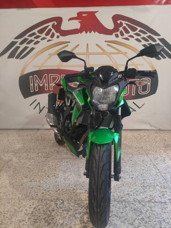 Kawasaki Z 125 (2019 - 20) (3)