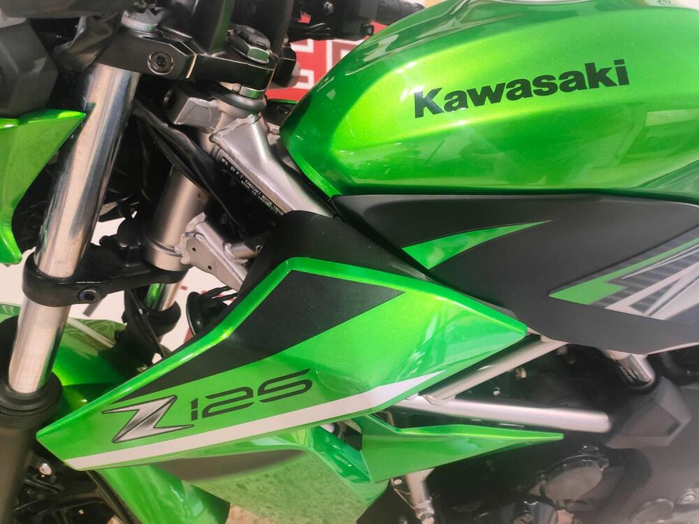 Kawasaki Z 125 (2019 - 20) (4)