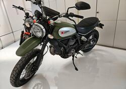 Ducati Scrambler 800 Icon (2015 - 16) usata